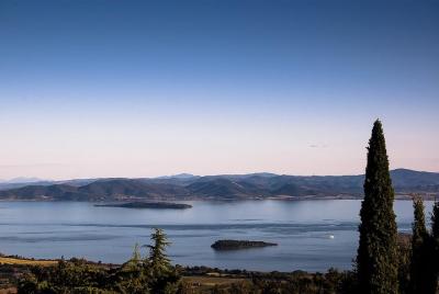 Excursión de un día: Museo del aceite de oliva y el vino con brunch + recorrido en lancha rápida por el lago Trasimeno Excursión de un día: Museo del aceite de oliva y el vino con brunch + recorrido en lancha rápida por el lago Trasimeno