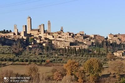 Pasee por las colinas de Chianti (6 horas) + almuerzo y degustación de vinos