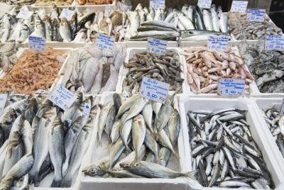 Visita al mercado de grupos pequeños y clase de cocina en Rimini