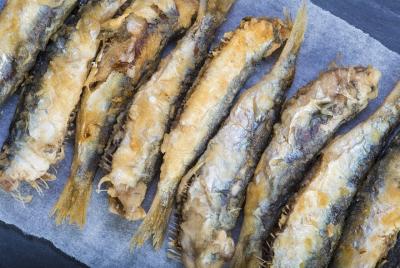 Comida callejera de grupos pequeños en Ravenna