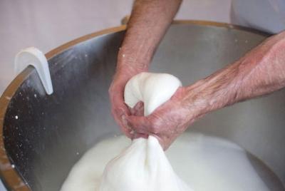 Conocimiento y sabores