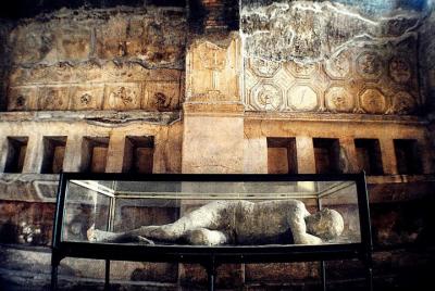 Pompeya Sorrento y Positano Tour privado de día completo