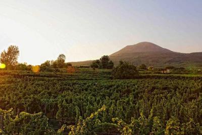 Pompeya, Vesubio y Sorrento 