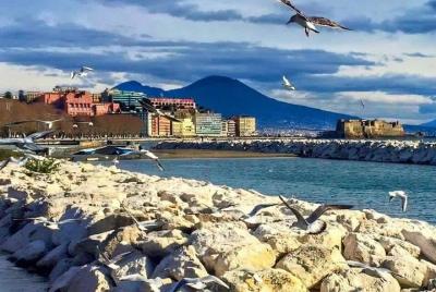 Pompeya y cata de vinos de Salerno