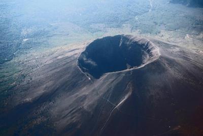 Pompeya y Vesubio: visita guiada con conductor privado y guía de Salerno