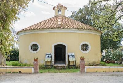 Tour privado al Museo Buffalo y Mozzarella desde Salerno