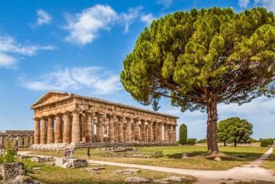 Paestum: recorrido privado por los templos griegos y el museo arqueológico