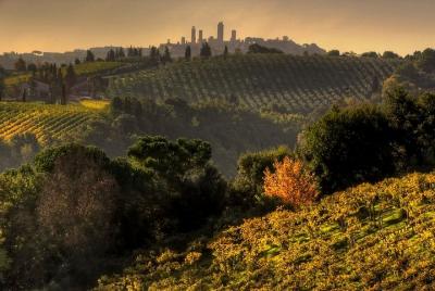 Chianti en pequeños grupos y San Gimignano Sunset Trip desde Siena Chianti en pequeños grupos y San Gimignano Sunset Trip desde Siena