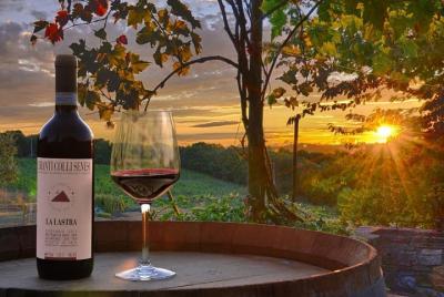 Tour del vino Chianti y Vernaccia desde Siena Tour del vino Chianti y Vernaccia desde Siena