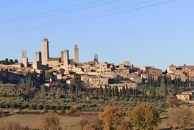 Pasee por las colinas de Chianti (6 horas) + almuerzo y degustación de vinos Pasee por las colinas de Chianti (6 horas) + almuerzo y degustación de vinos