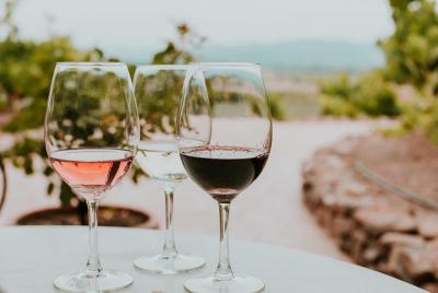 Siena en 3 vinos: degustación exclusiva de vinos con un experto y maridaje