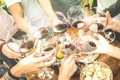 Degustación profesional de 6 vinos con aperitivos regionales en la casa de un local - Siena