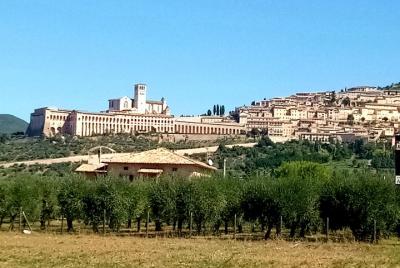 Traslado privado de Siena a Asís con paradas en Montepulciano y Cortona