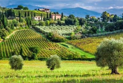 Tour privado de Montalcino y Montepulciano