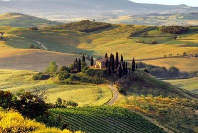 Montalcino y Montepulciano Wine Tour desde Siena