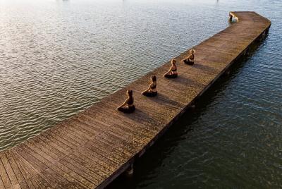 Relajación y naturaleza: yoga en el lago con picnic Relajación y naturaleza: yoga en el lago con picnic