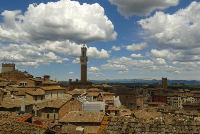 Tour privado: Siena Walking Tour Tour privado: Siena Walking Tour