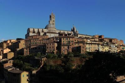 Tour privado: Piazza del Campo y Contrade de Siena, distritos