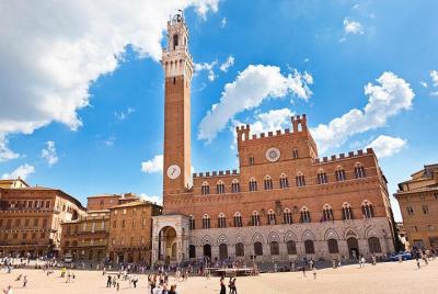 Traslado privado desde el centro de la ciudad de Siena al aeropuerto de Pisa