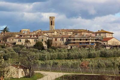 Traslado privado: aeropuerto de Ciampino (CIA) a Castelnuovo Berardenga o viceversa