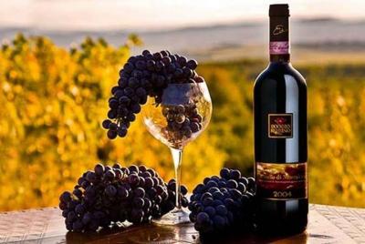 Siena y Montalcino con degustación de vino brunello privado de día completo desde Roma