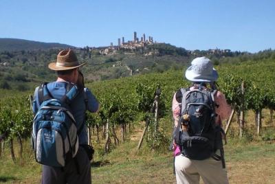 Vía Francigena 1 día a pie - Sant'antimo