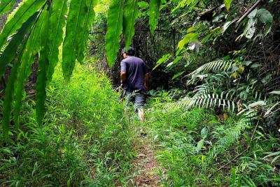 Experiencia de la Selva Khao Lak