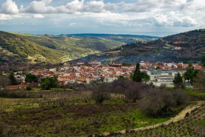 Miércoles - Village Venture: tour de un día para grupos pequeños con comida y vino en las montañas de Troodos