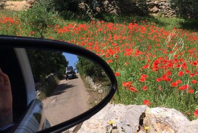 Fotos del Valle de Itria.