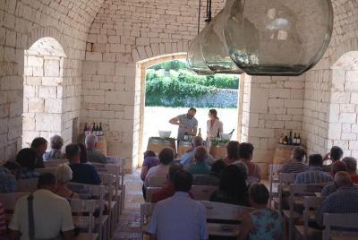 Tour privado de medio día en vino desde Ostuni con almuerzo