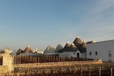 Tour de día completo: descubra el Valle d'Itria (tierra de Trulli) desde BARI