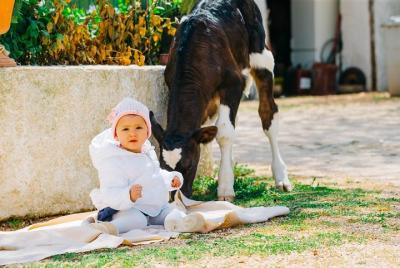 Tour privado de elaboración de queso en Valle d'Itria con degustaciones