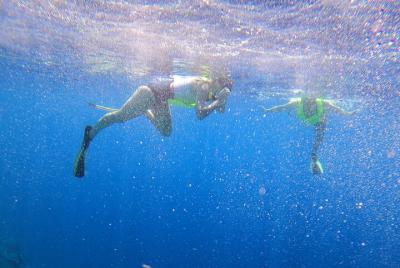 Experiencia privada de snorkel en Villanova