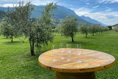 Degustación privada de vino y aceite de oliva de medio día en el lago de Garda