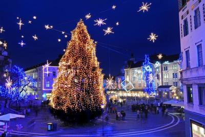 Excursión al mercado navideño de Liubliana desde Trieste Excursión al mercado navideño de Liubliana desde Trieste