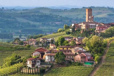 Piemonte Vineyards by Yourself from Turin - Furgoneta de lujo con chófer inglés