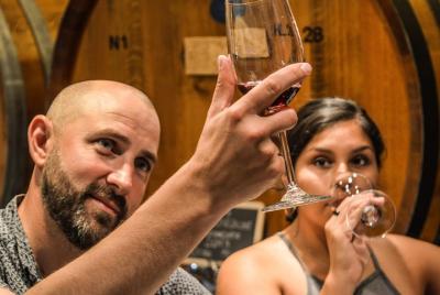 Excursión de día completo al vino Piemonte con guía privado en inglés y almuerzo desde Turín