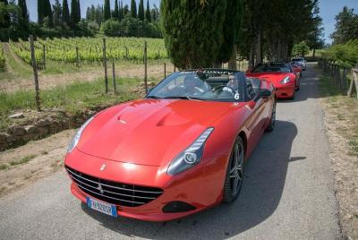 Langhe / Barolo / Alba - Tour en Ferrari
