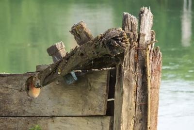 Naturaleza y bicicleta por el río Sile hasta la laguna de Venecia