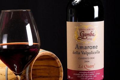 Cata de vinos Amarone desde Venecia en tren