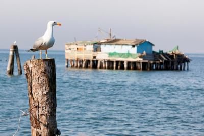 Lido, Pellestrina y Chioggia: paseos en bicicleta por las islas de la laguna de Venecia