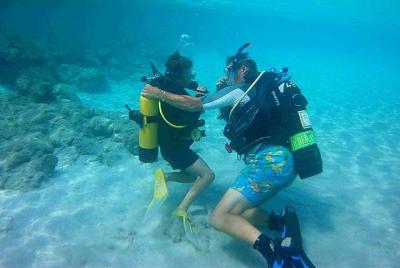 Descubre el buceo en el Akamas Latchi
