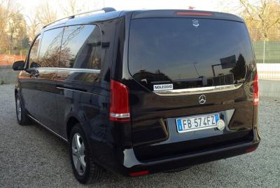 Traslado privado desde el aeropuerto de Venecia al puerto de Venecia en minivan