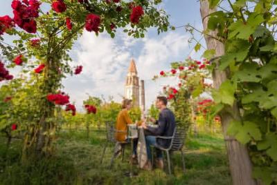Degustación privada de vinos en la isla Mazzorbo con un sumiller