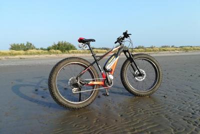 Todo el día en Venecia Alquiler de bicicletas eléctricas