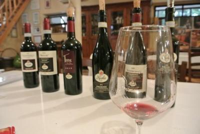 Tours de vino y aceite de oliva