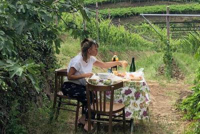 Experiencia de degustación de vinos naturales de Soave para grupos pequeños