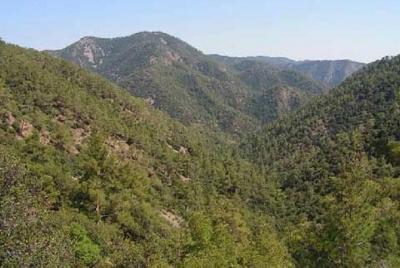 Recorrido de un día a Troodos y Kikkos desde Pafos