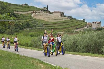 Tour de vino y bicicleta eléctrica de 4 horas por Valpolicella Hills