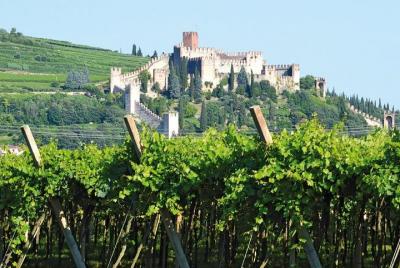 Tour del vino Soave Borgo con aperitivo